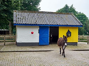 De Werkplaats
