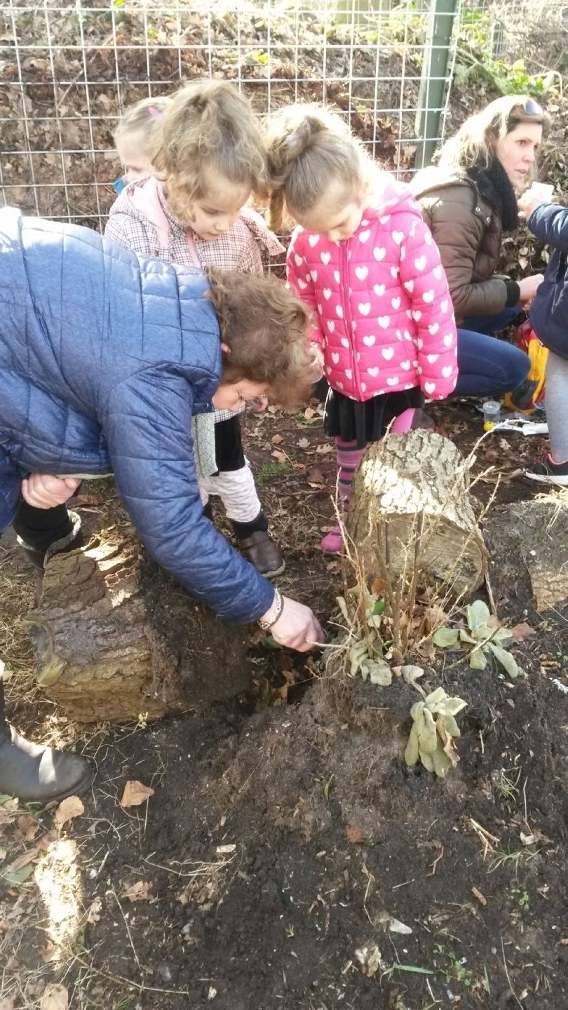 Willie Wurm zoekt een tuin